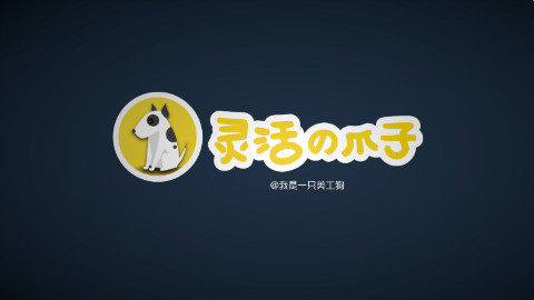 灵活的爪子-简历
